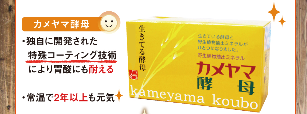 カメヤマ酵母。独自に開発された特殊コーティング技術により胃酸にも耐える。常温で２年以上も元気