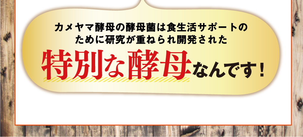 カメヤマ酵母の酵母菌は食生活サポートのために研究が重ねられ開発された特別な酵母なんです！
